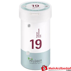 Biochemie Pflüger® Nr. 19 Cuprum arsenicosum D6 Tabletten.