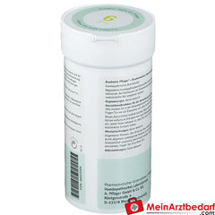 Biochemie Pflüger® Nr. 6 Kalium sulfuricum D6 Pulver.