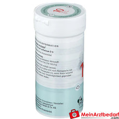 Biochemie Pflüger® Nr. 10 Natrium sulfuricum D6 Pulver.