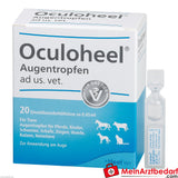 Oculoheel oogdruppels ad us vet, 20 st.