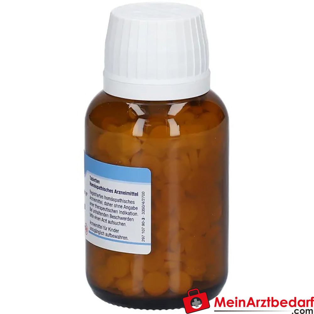 DHU Schüßler-Salz Nr. 10 Natrium sulfuricum D12 Tabletten 250 mg