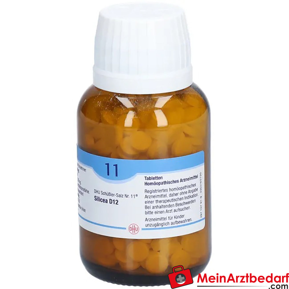 DHU Schuessler Zout nr. 11 Silicea D12 Acidum silicicum 250 mg Tabletten