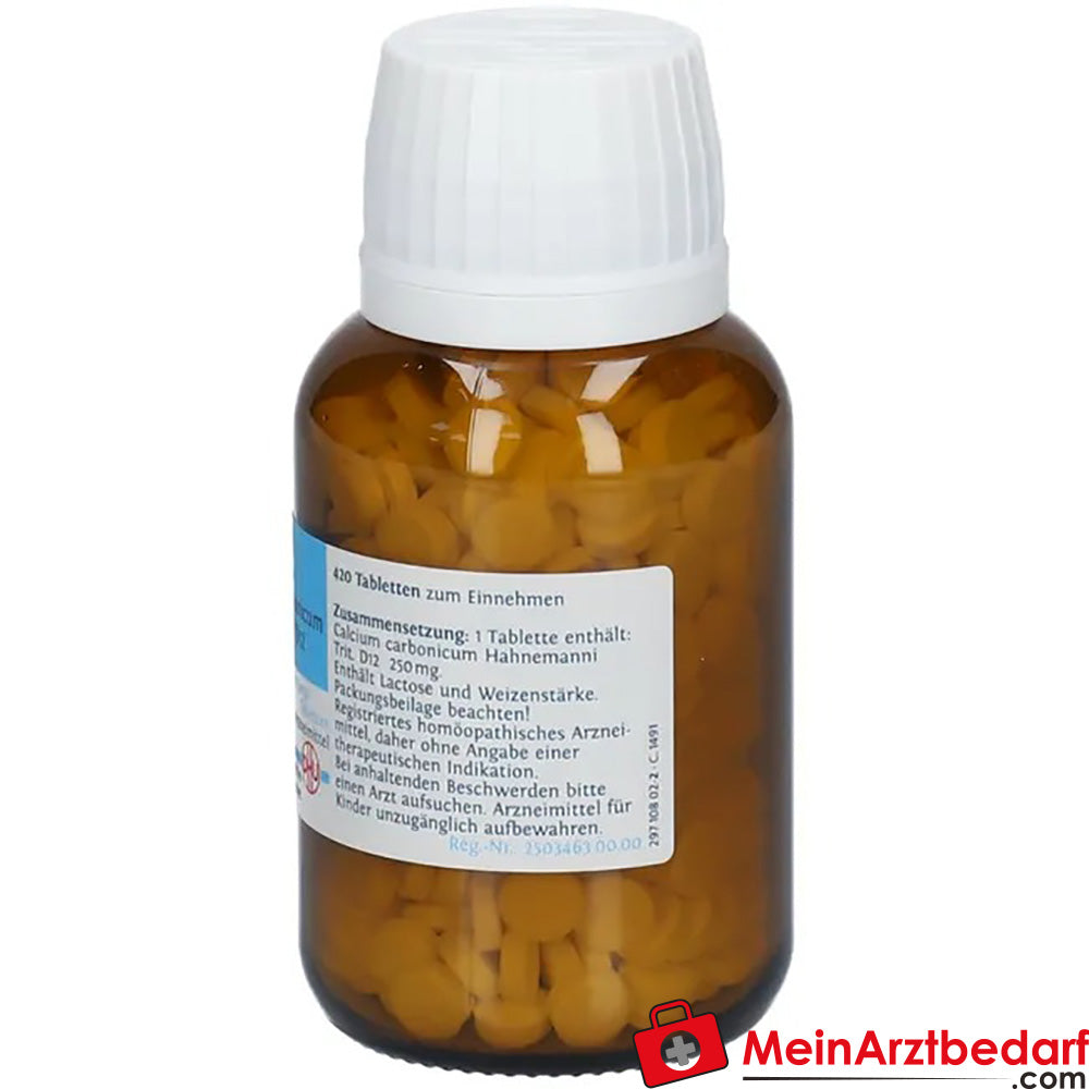 DHU Biochemie 22 Calcium carbonicum D12.