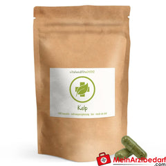 Bio Kelp Kapseln (aus Meeresalgen) 100 µg|reich an Jod.