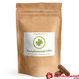 Traubenkernextrakt OPC Kapseln 370 mg.