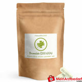 Bromelain Kapseln 500 mg (1200 GDU).