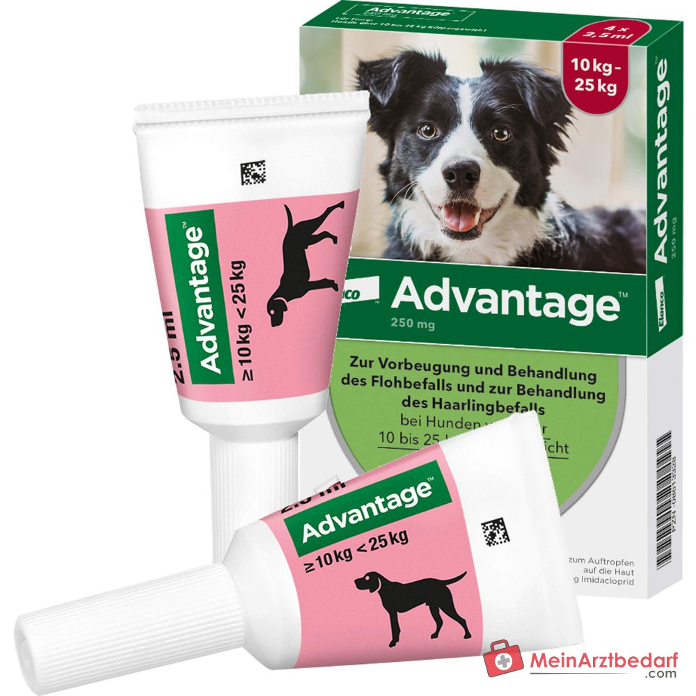 Advantage 250 Elanco hond 100 mg imidacloprid spot-on oplossing 4 stuks