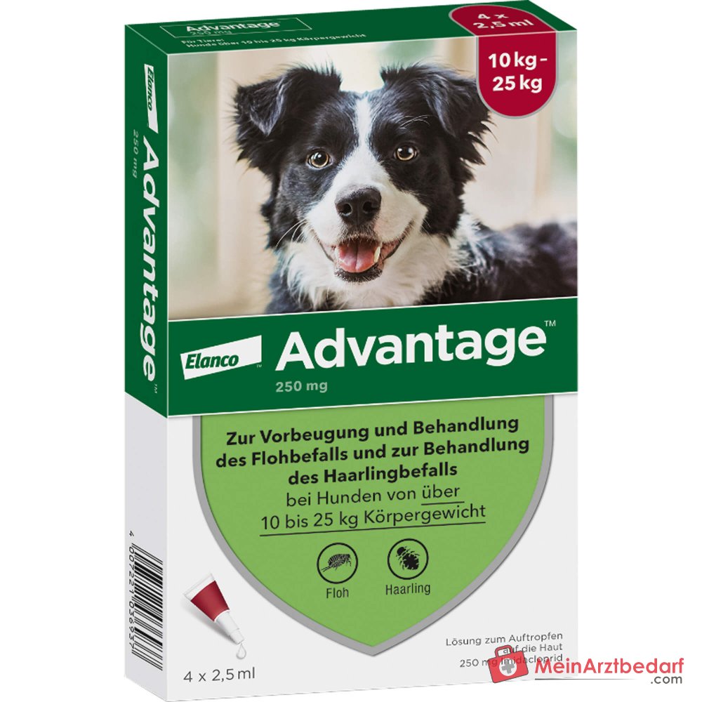 Advantage 250 Elanco hond 100 mg imidacloprid spot-on oplossing 4 stuks
