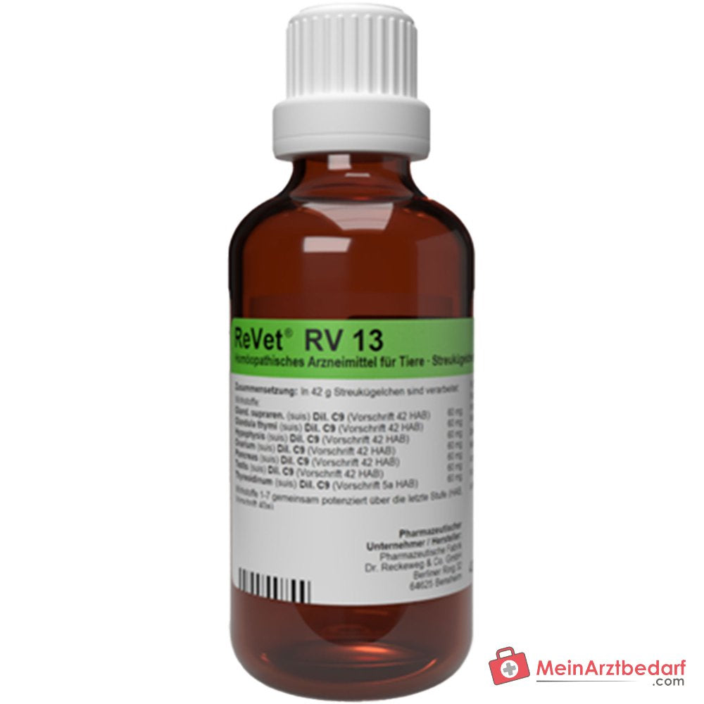 Dr Reckeweg ReVet RV 13 Globuli dierenarts 42 g