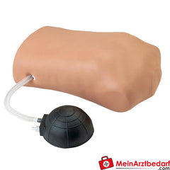 Erler-Zimmer Pneumothorax-Simulator.