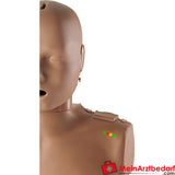Torse HLW Prestan avec affichage lumineux, pack de 4