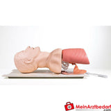 Laerdal Zubehör für Airway Management Trainer.