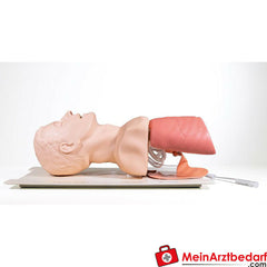 Laerdal Zubehör für Airway Management Trainer.