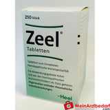 Zeel Tabletten 50 St., Homöopathisches Arzneimittel bei Arthrose.