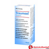 Traumeel Tropfen 100 ml Homöopathisches Arzneimittel bei Prellungen
