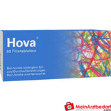 GSK-Gebro Hova Filmtabletten 30 Stk. pflanzliches Beruhigungs- und Schlafmittel mit Baldrian und Hopfen