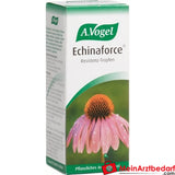 A. Vogel Echinaforce Tropfen 50 ml Immunstärkung