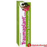 HWS Traumaplant Zalf 100 g - kruidenzalf voor kneuzingen, verstuikingen, spier- en gewrichtspijn