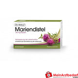 Dr Böhm Milk Thistle 140 mg Capsules, 60 kapsułek - Wsparcie dla wątroby