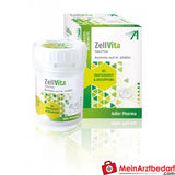 Adler Pharma Schuessler Complex Tabletten 100 g bij zwakte en uitputting