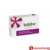 Kaloba 20 mg filmomhulde tabletten 42 Capsules - kruidengeneesmiddel bij verkoudheid