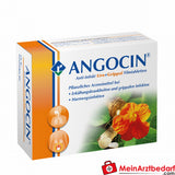 Angocin Anti-Infekt Compresse rivestite con film 100 St. a base di erbe per raffreddore e infezioni delle vie urinarie