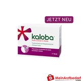 Kaloba Direkt granulki 21 saszetek - przeziębienie i zapalenie oskrzeli, od 6 roku życia