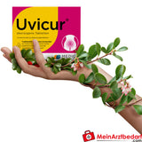 Uvicur überzogene Tabletten 40 St. – Bärentraubenblätterextrakt (Arbutin) bei Blasenentzündung