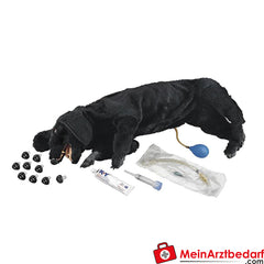 Erler-Zimmer HLW Übungshund, Basis-Ausführung.