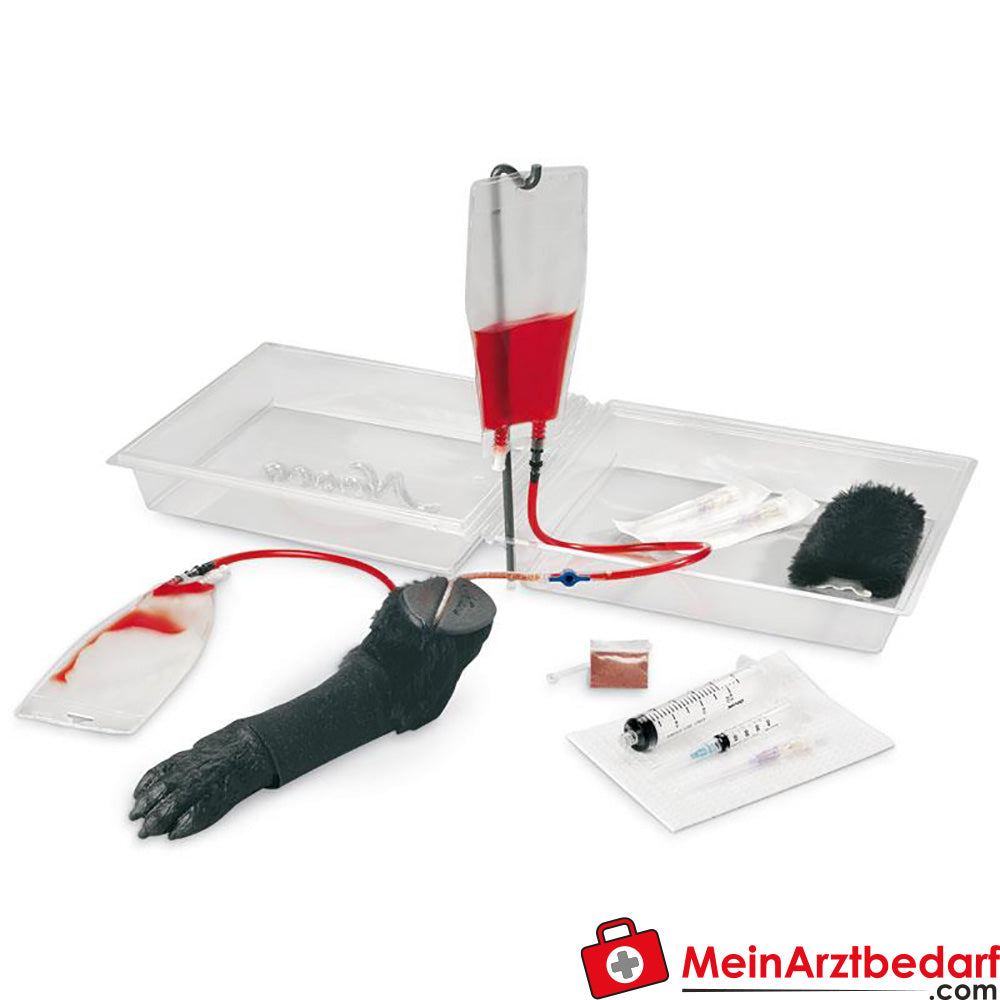 Erler Zimmer Zubehör für Hundebein zur Infusion.