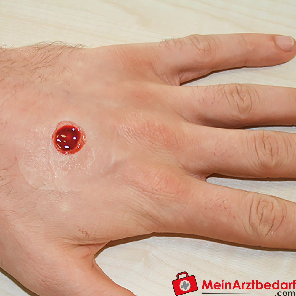 Erler-Zimmer EZ Wounds Wundensimulationsset „Professional“.